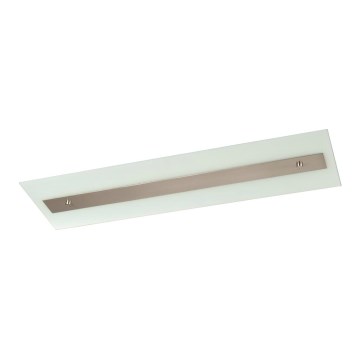 Philips Massive 85115/14/31 - Таванна закрепена лампа DECOLINE 2xG5/14W/230V