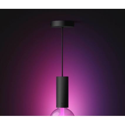 Philips - Пендел Hue GUIDE 1xE27/60W/230V