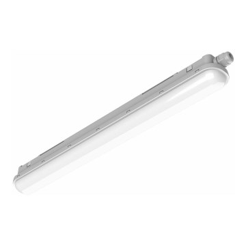 Philips Pila - индустриално LED осветително тяло за тръбни лампи LED/60W/230V 150 cm IP65