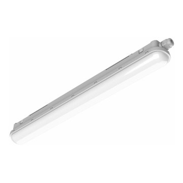 Philips Pila - LED техническо тръбно осветително тяло LED/40W/230V 120 cm IP65