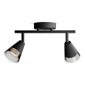 Philips - Спот CLEFT 2xGU10/5W/230V