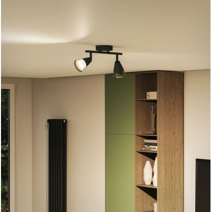 Philips - Спот CLEFT 2xGU10/5W/230V