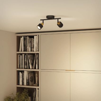 Philips - Спот NIALL 2xGU10/5W/230V черен/месинг
