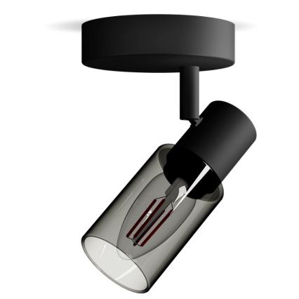Philips - Спот PALMS 1xE14/25W/230V