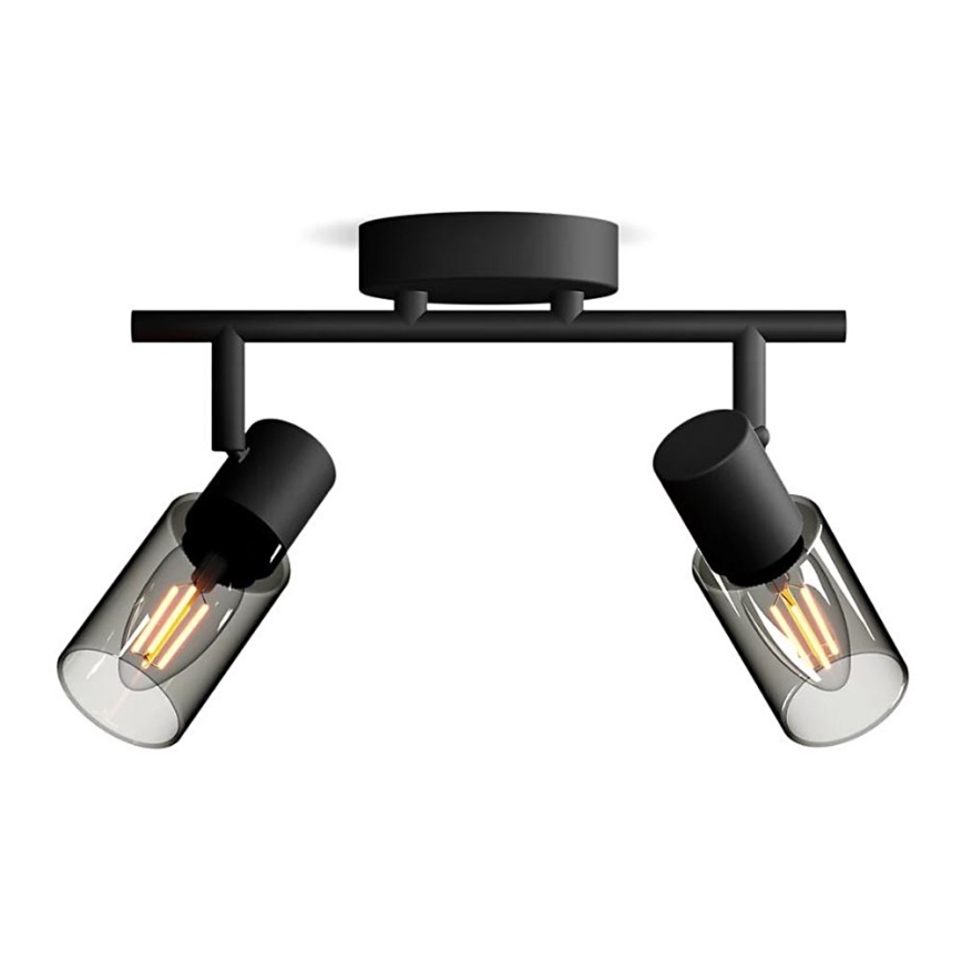 Philips - Спот PALMS 2xE14/25W/230V
