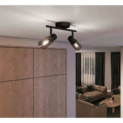 Philips - Спот PALMS 2xE14/25W/230V