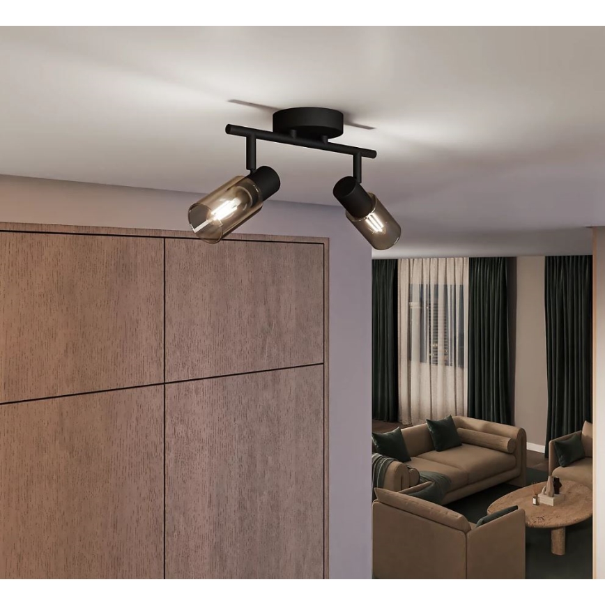 Philips - Спот PALMS 2xE14/25W/230V