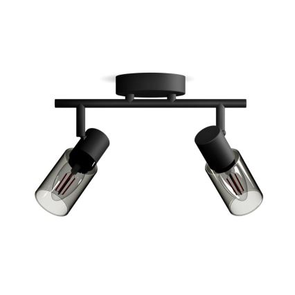 Philips - Спот PALMS 2xE14/25W/230V