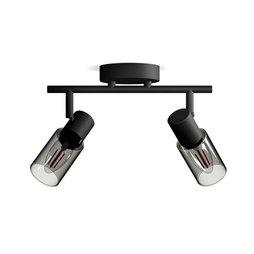Philips - Спот PALMS 2xE14/25W/230V