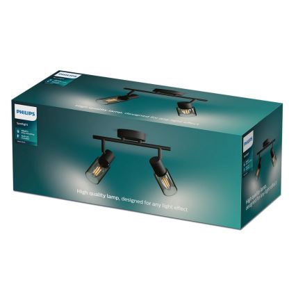 Philips - Спот PALMS 2xE14/25W/230V