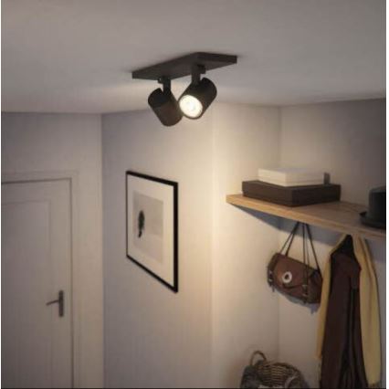 Philips - Спот RUNNER 2xGU10/20W/230V черен