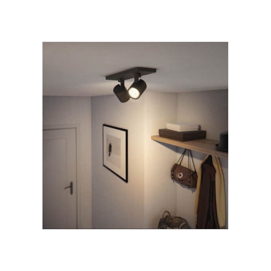 Philips - Спот RUNNER 2xGU10/20W/230V черен
