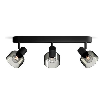 Philips - Спот SLEET 3xE14/25W/230V