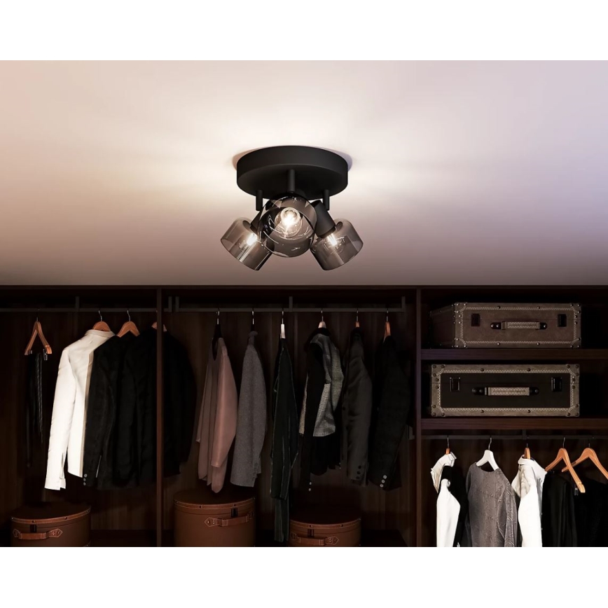 Philips - Спот SLEET 3xE14/25W/230V