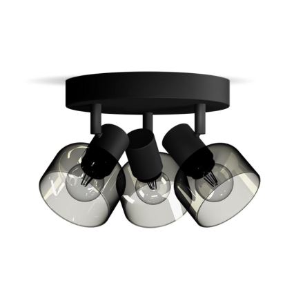 Philips - Спот SLEET 3xE14/25W/230V