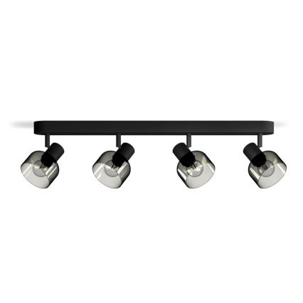 Philips - Спот SLEET 4xE14/25W/230V