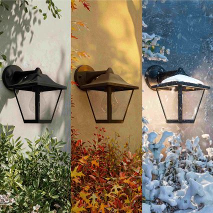 Philips - Външна стенна лампа JULI 1xE27/25W/230V IP44