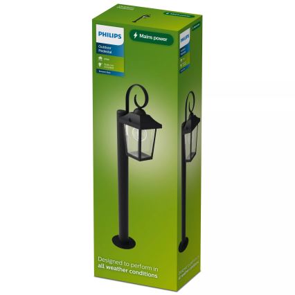 Philips - Външно осветително тяло BUZZARD 1xE27/25W/230V IP44