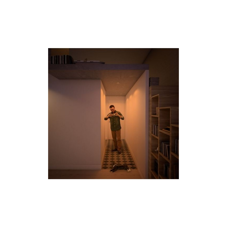 Philips 50393/17/P0 - К-кт 3бр. LED димируеми лунички SHELLBARK Warm Glow 1xLED/4,5W/230V 2200-2700K