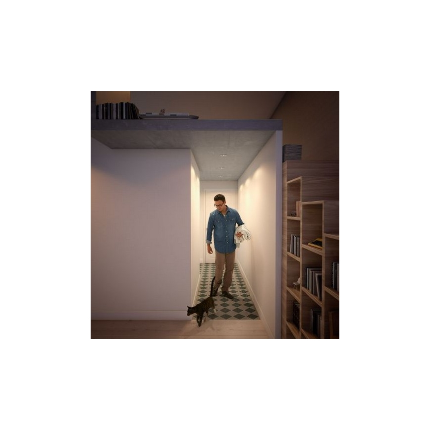 Philips 50393/17/P0 - К-кт 3бр. LED димируеми лунички SHELLBARK Warm Glow 1xLED/4,5W/230V 2200-2700K