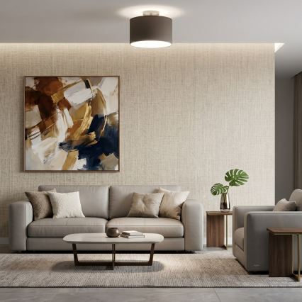 Плафон ARDEN 1xE27/15W/230V Ø 25 см черен
