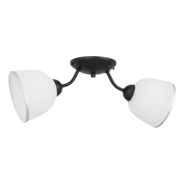Плафон AVIA 2xE27/60W/230V