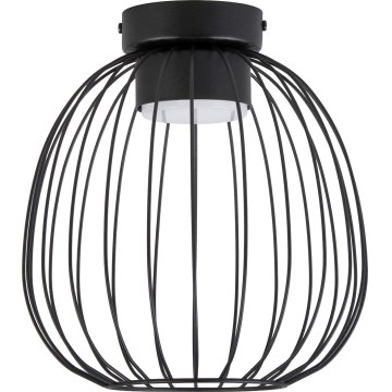 Плафон OVELLA 1xGX53/10W/230V Ø 25 см черен