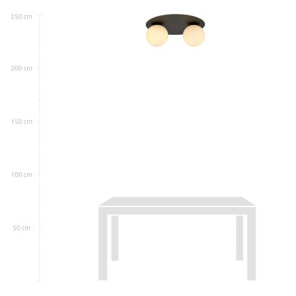 Плафон SOLAR 2xE14/10W/230V черен/бял