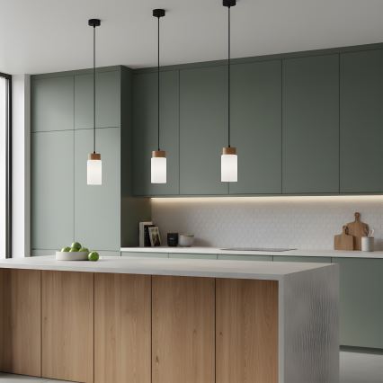 Полилей на кабел MARKUS 1xE27/15W/230V черен/дъб