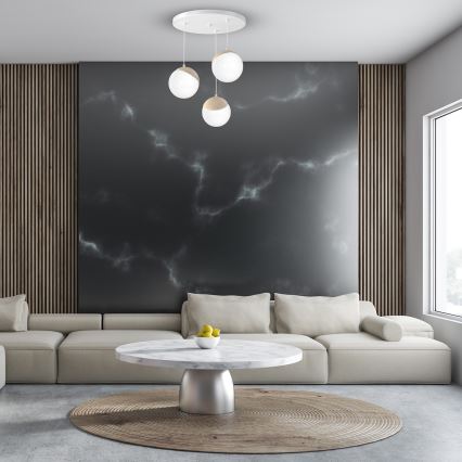 Полилей висящ на кабел SFERA WOOD 3xE14/40W/230V