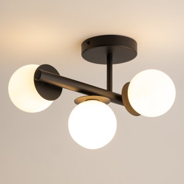 Полилей за повърхностен монтаж AVOLA 3xG9/12W/230V черен