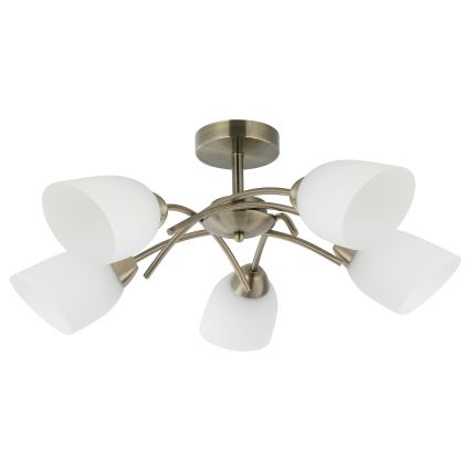 Полилей за повърхностен монтаж DONNA 5xE27/60W/230V патина