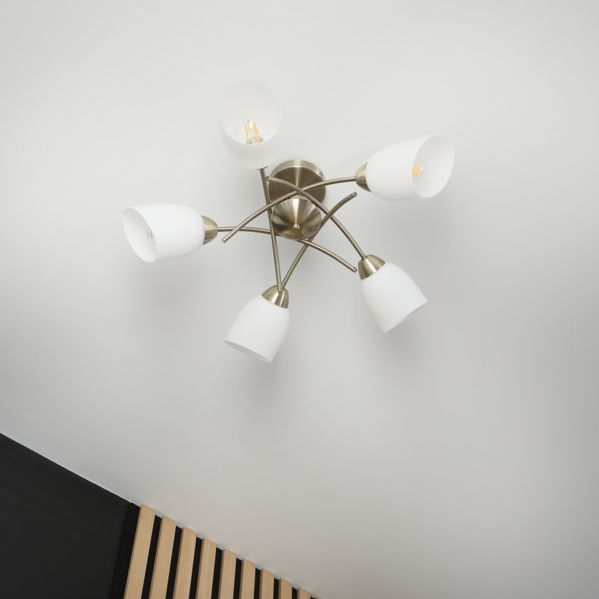 Полилей за повърхностен монтаж DONNA 5xE27/60W/230V патина