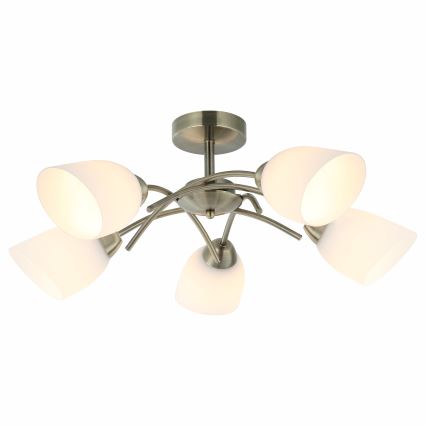 Полилей за повърхностен монтаж DONNA 5xE27/60W/230V патина