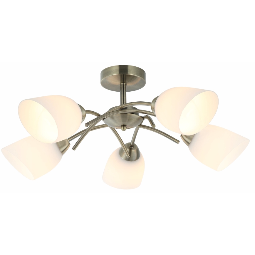 Полилей за повърхностен монтаж DONNA 5xE27/60W/230V патина