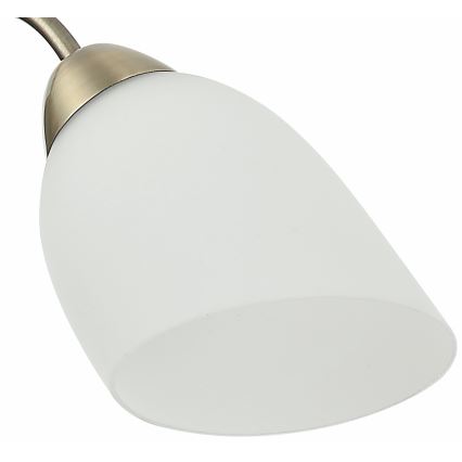 Полилей за повърхностен монтаж DONNA 5xE27/60W/230V патина
