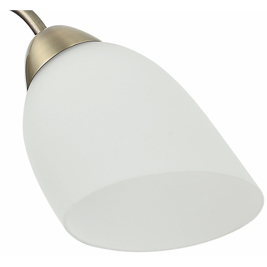Полилей за повърхностен монтаж DONNA 5xE27/60W/230V патина