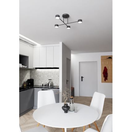 Полилей за повърхностен монтаж HALO 4xGX53/10W/230V черен