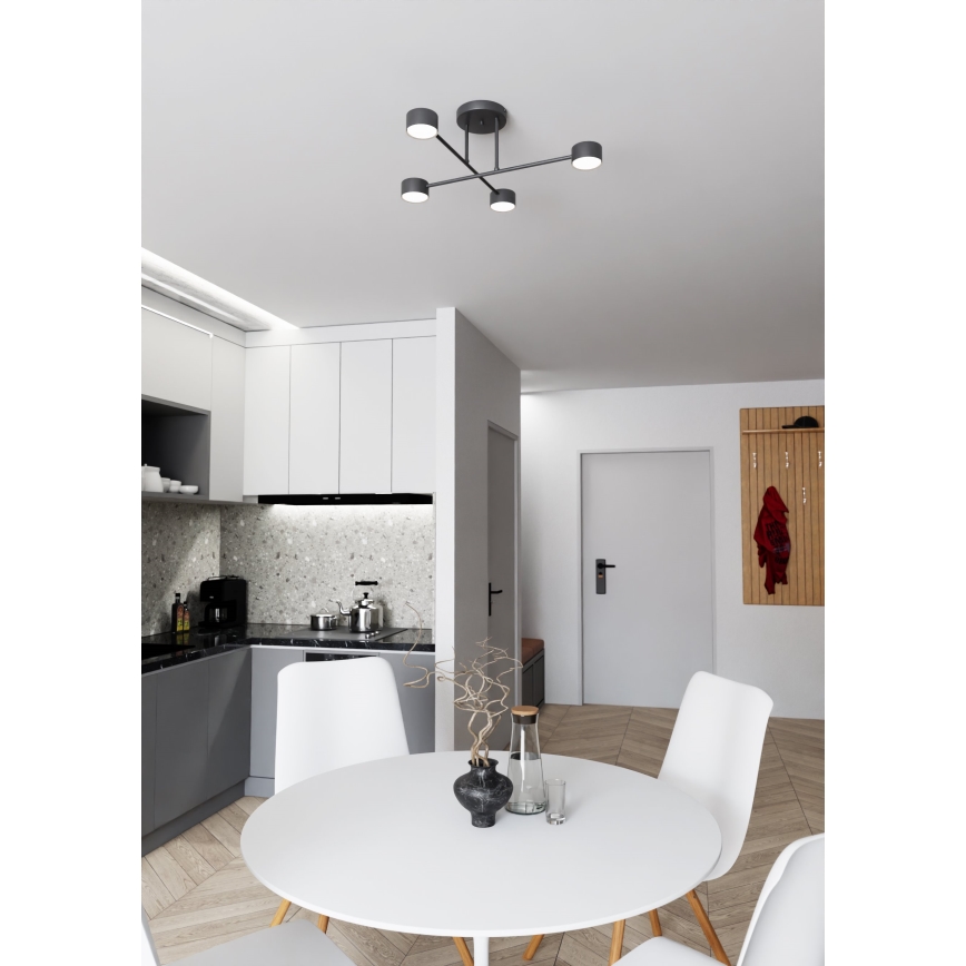 Полилей за повърхностен монтаж HALO 4xGX53/10W/230V черен