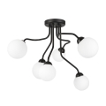 Полилей за повърхностен монтаж HOLLY 6xG9/5W/230V черен