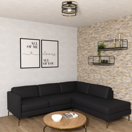 Полилей за повърхностен монтаж RIM 1xE27/60W/230V черен/златист