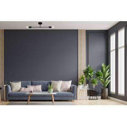 Повърхностен полилей CAMBRIDGE 2xE27/15W/230V черен