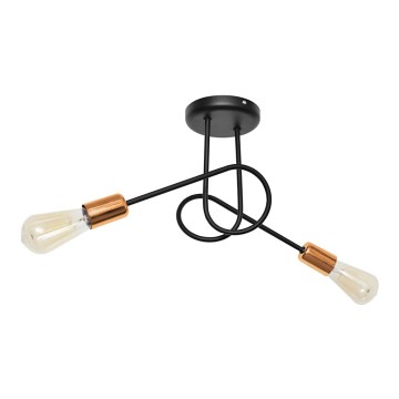 повърхностно монтиран Полилей OXFORD 2xE27/15W/230V черна
