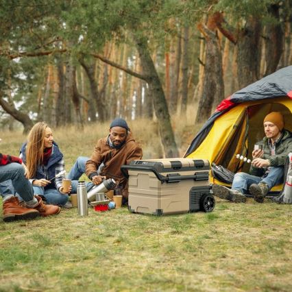 Преносим хладилник за кола с LCD дисплей 39 l 230V/12V/24V кафяв