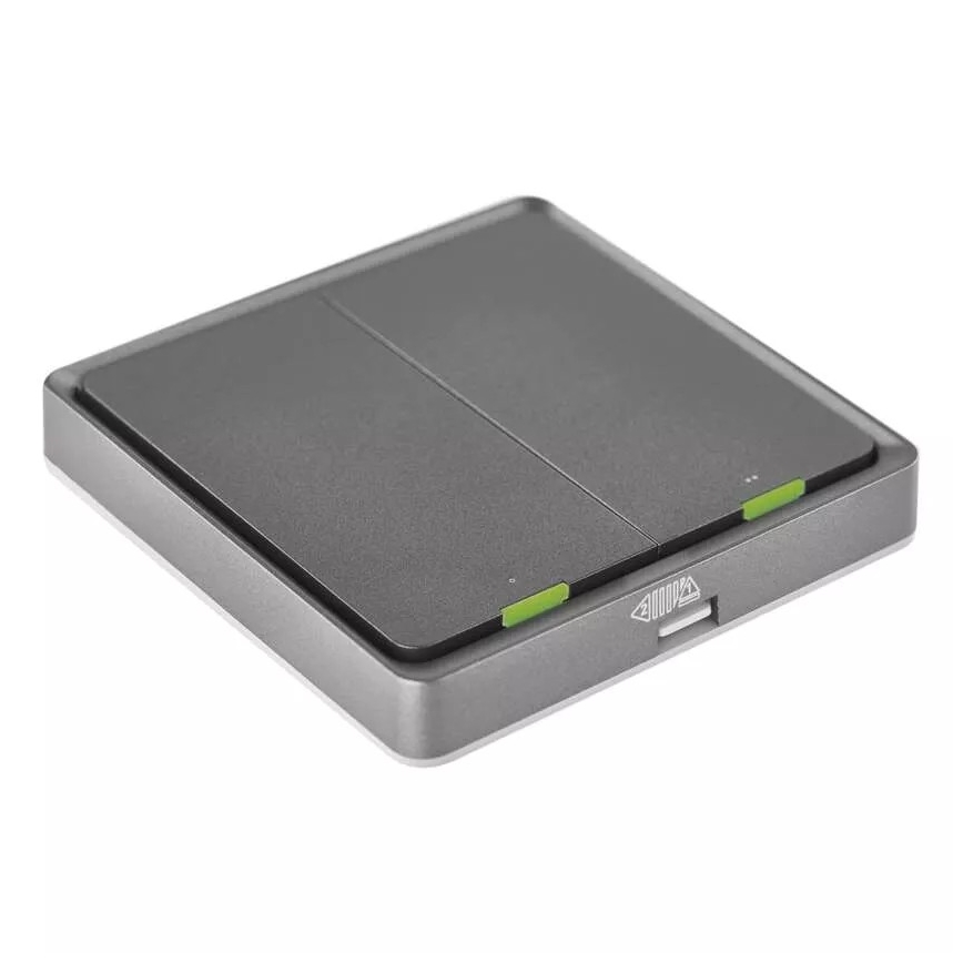 Превключвател с 2 бутона GoSmart 1xCR2430 Tuya черен