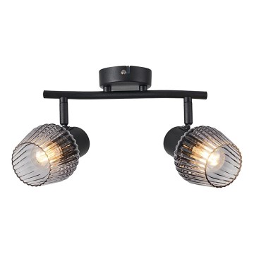 Prezent 14101 - Спот OASIS 2xE27/60W/230V черен/опушен