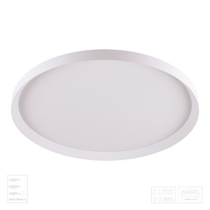 Prezent 17310 - LED плафон ADRA LED/42W/230V + LED/13W 3000/4000/6000K Ø 48,5 см бял
