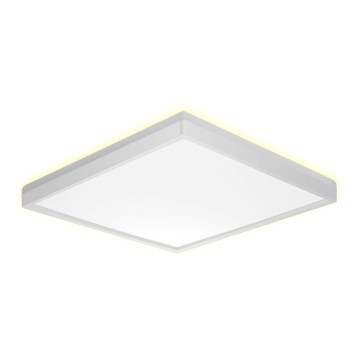 Prezent 27309 - LED Плафон за баня CORDIA SQ LED/24W/230V 3000/6000K IP54 бял