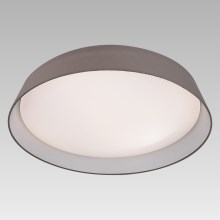 Prezent 45130 - LED Лампа за таван VASCO 1xLED/24W/230V