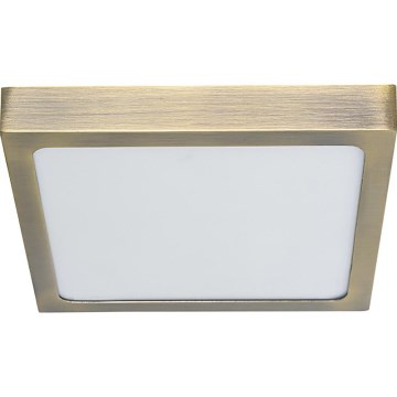 Prezent 49064 - LED Плафониера LENYS LED/22W/230V 4000K 22,5x22,5 см месинг